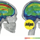 Illustration for article titled The New Materials That Are Revolutionizing Helmet Safety Right Now